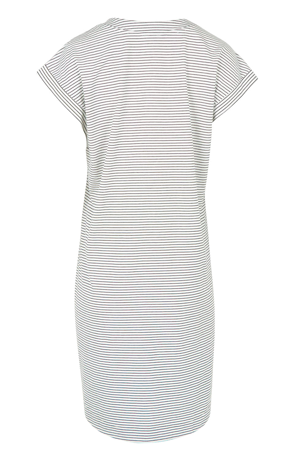 Product shot of the Daphne Vin colourNeck Cotton Dress - Blkwhite, from the back