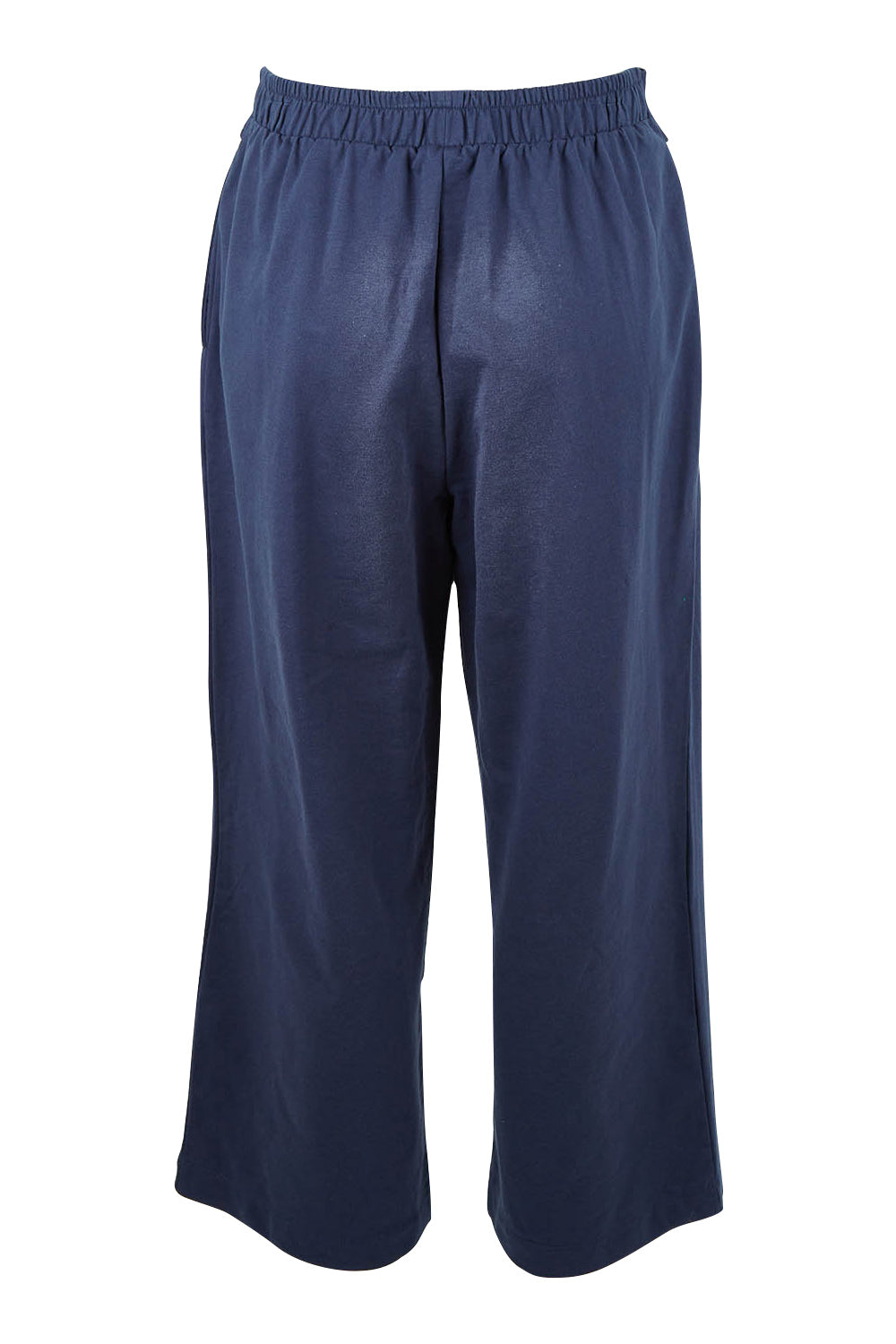 Product shot of the Rizzo Relaxed Jogger in colour Navy (Blue), from the back