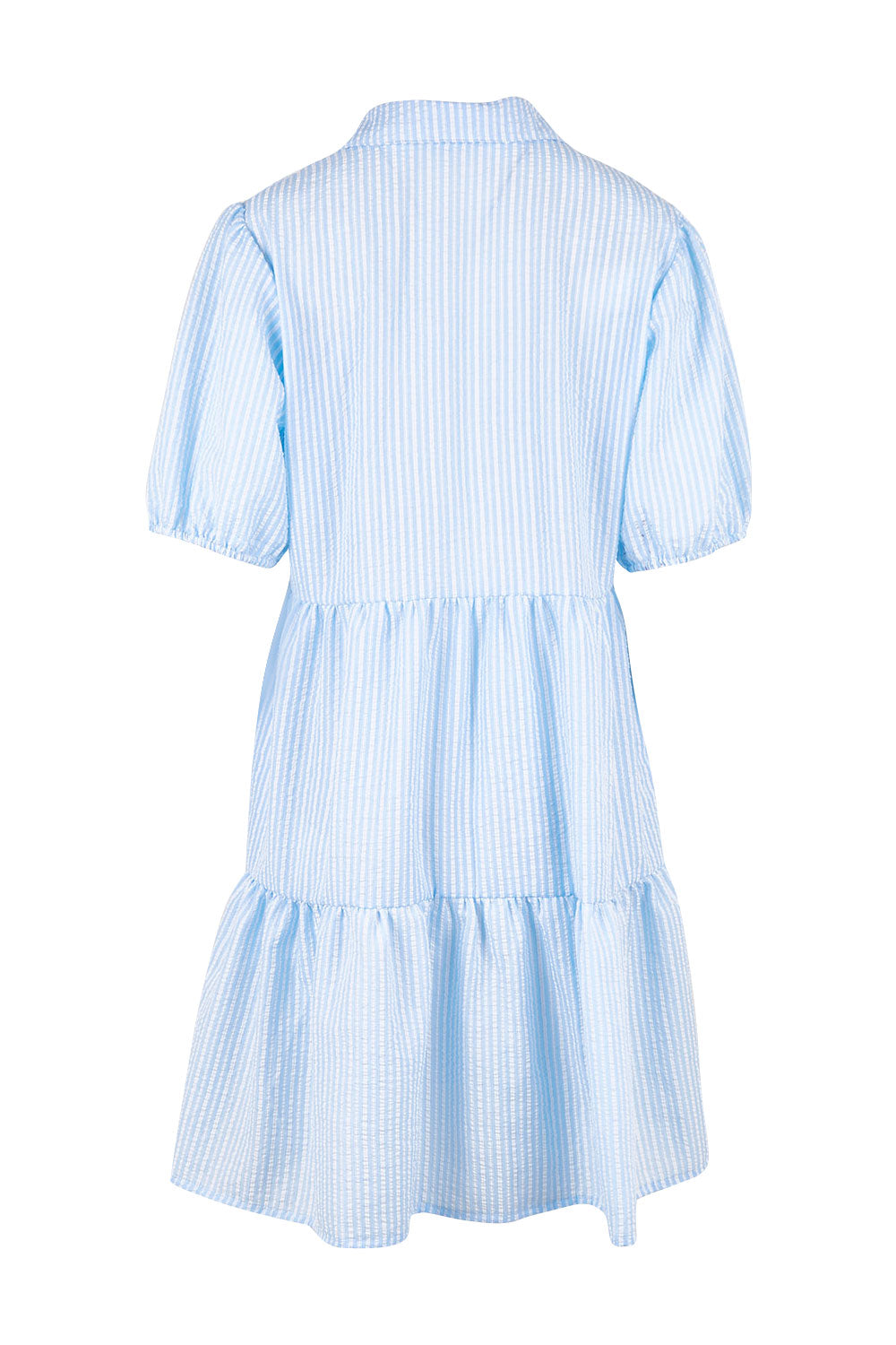 Product shot of the Hayley Dress in colour Blue, from the back