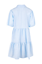 Product shot of the Hayley Dress in colour Blue, from the back