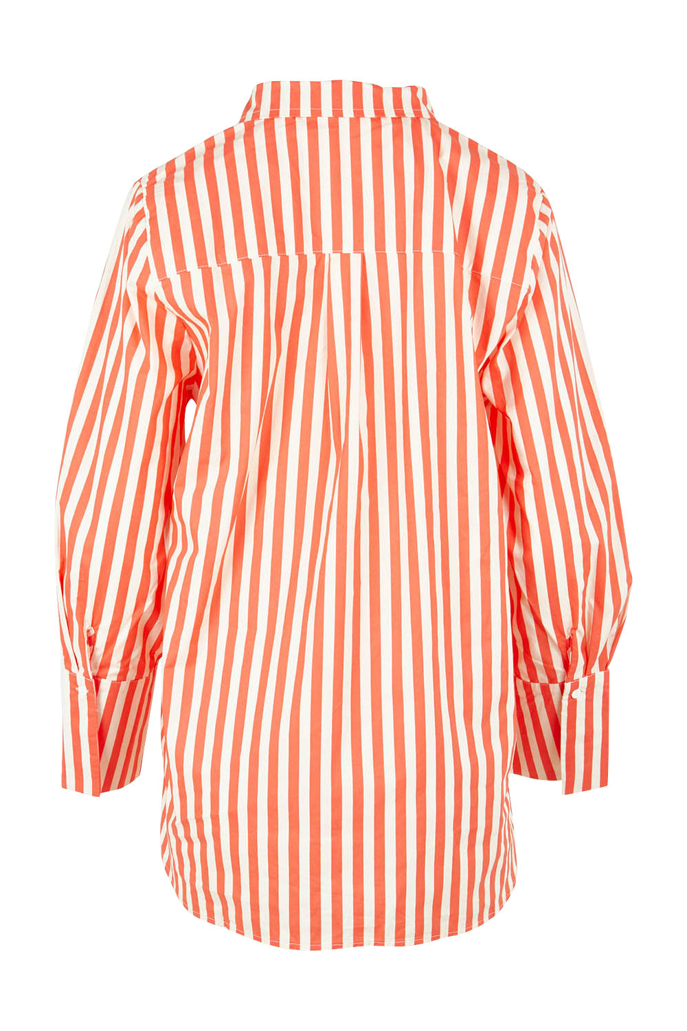 Product shot of the Camden Cotton Shirt in colour Tangerine, from the back