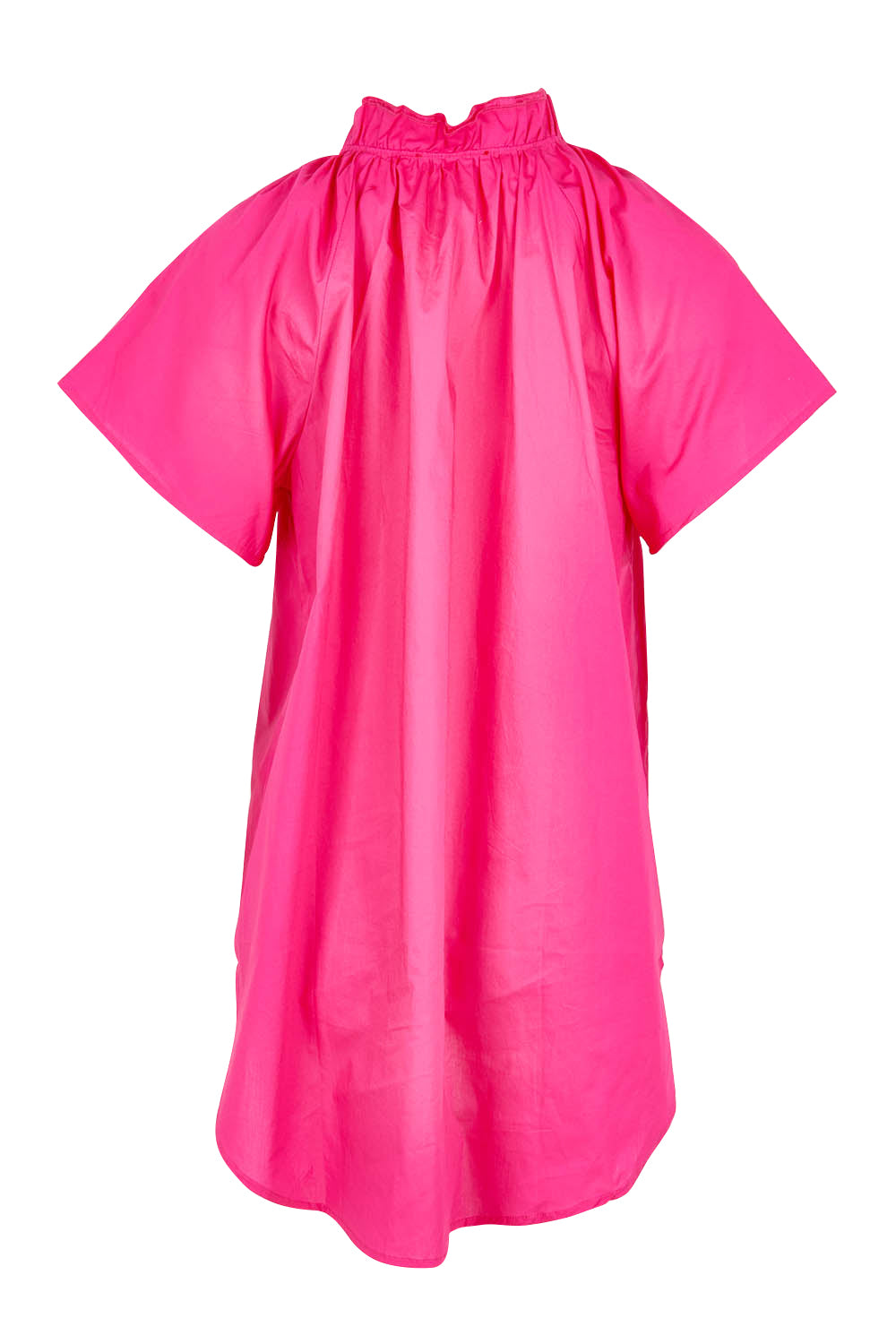 Product shot of the Caspian Cotton Blouse in colour Pinkred (Pink), from the back