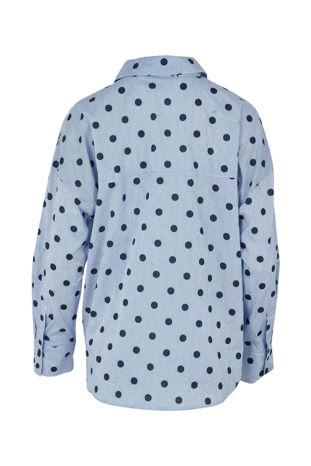Product shot of the Sage Cotton Shirt in colour Polkadot (Blue), from the back