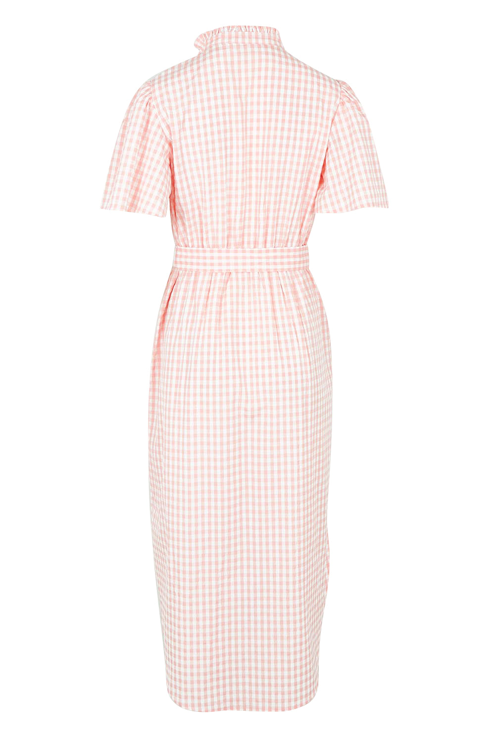 Product shot of the Immie Cotton Dress in colour Pink (Pink), from the back