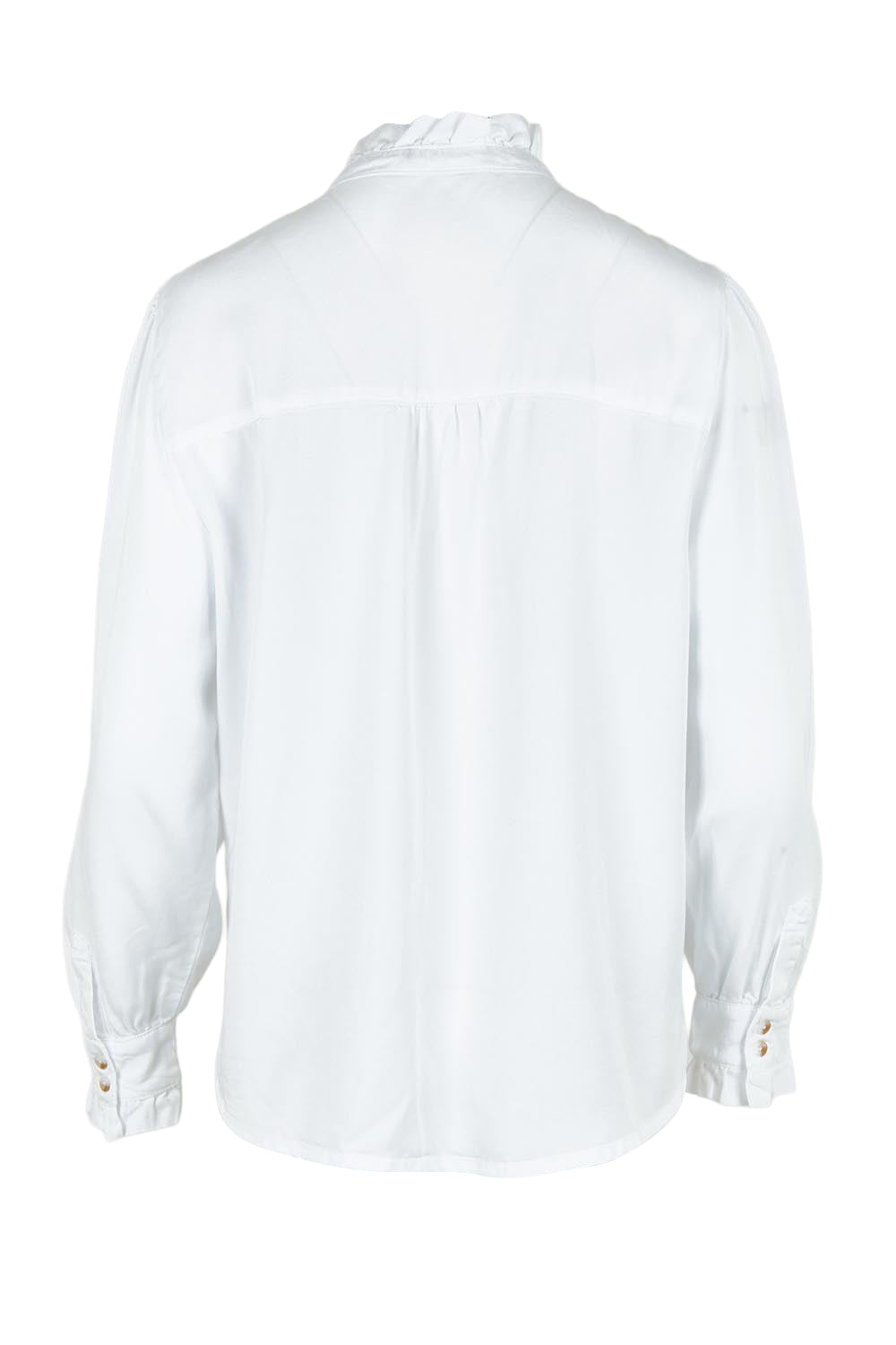 Product shot of the Lucille Lyocell Pleated Shirt in colour White (White), from the back