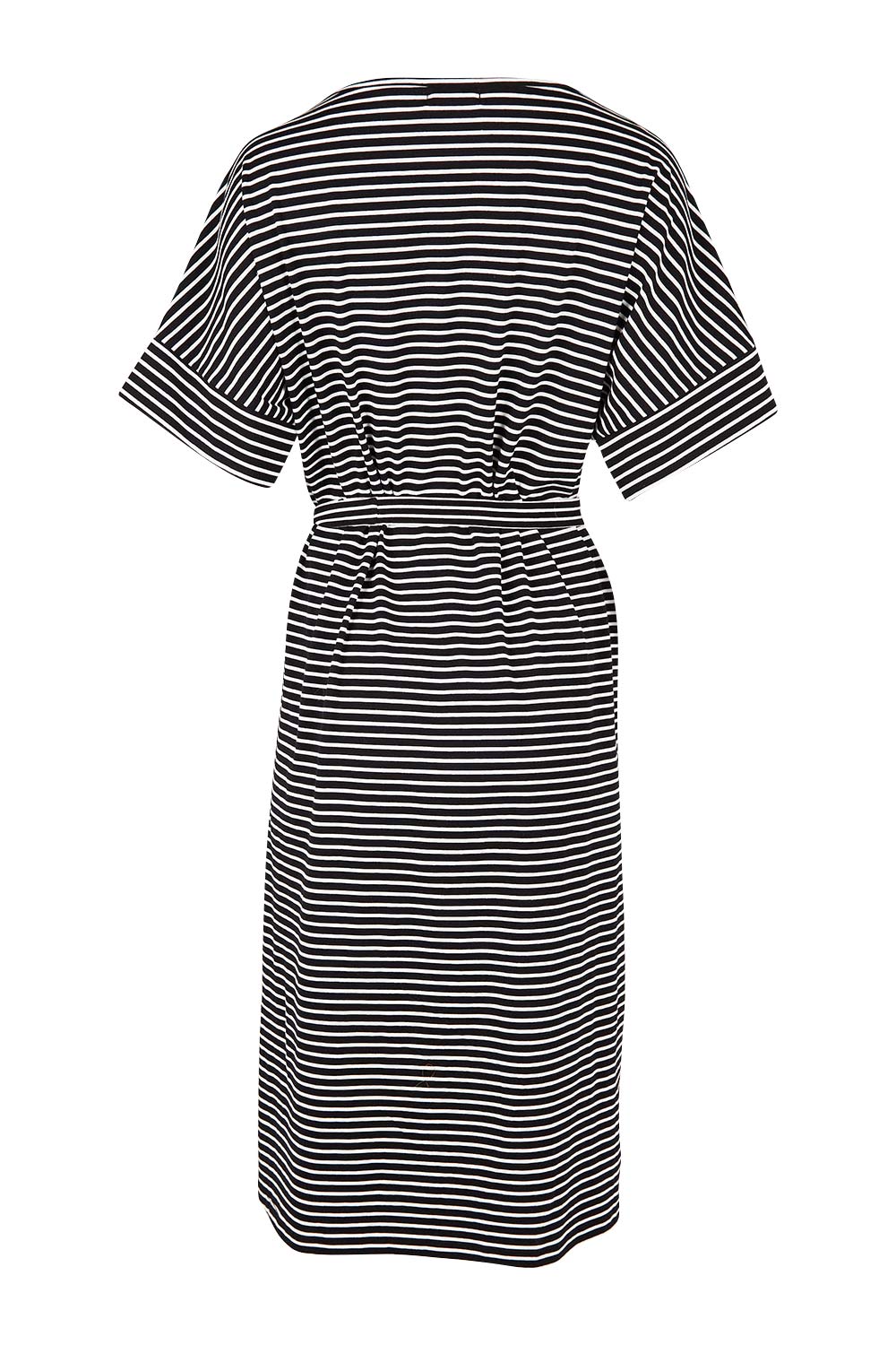 Product shot of The Striped Detail Dress in colour Blackwhite (Black), from the back