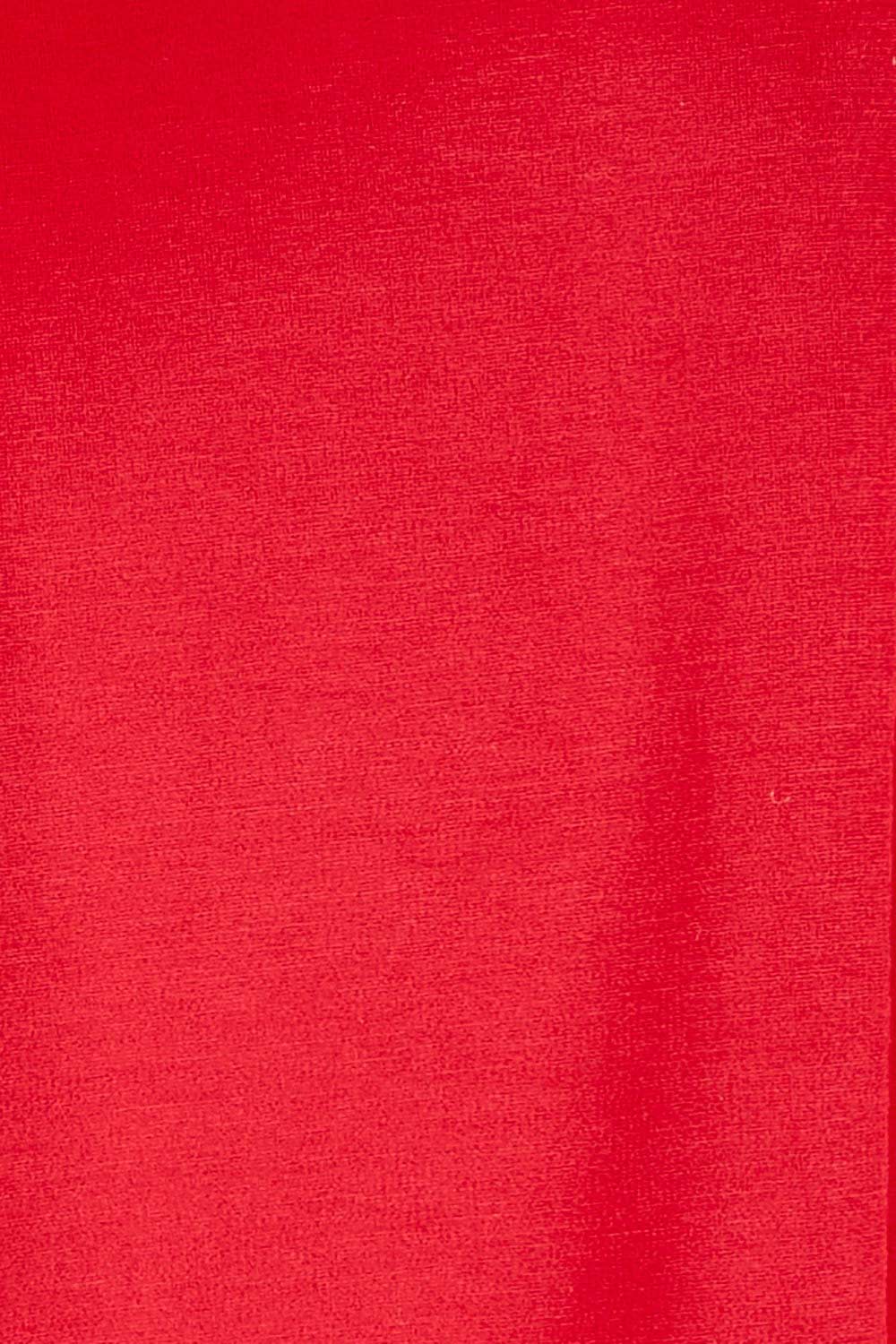 Product shot of The Edge To Edge Ponte Blazer in colour Red (Red), detail
