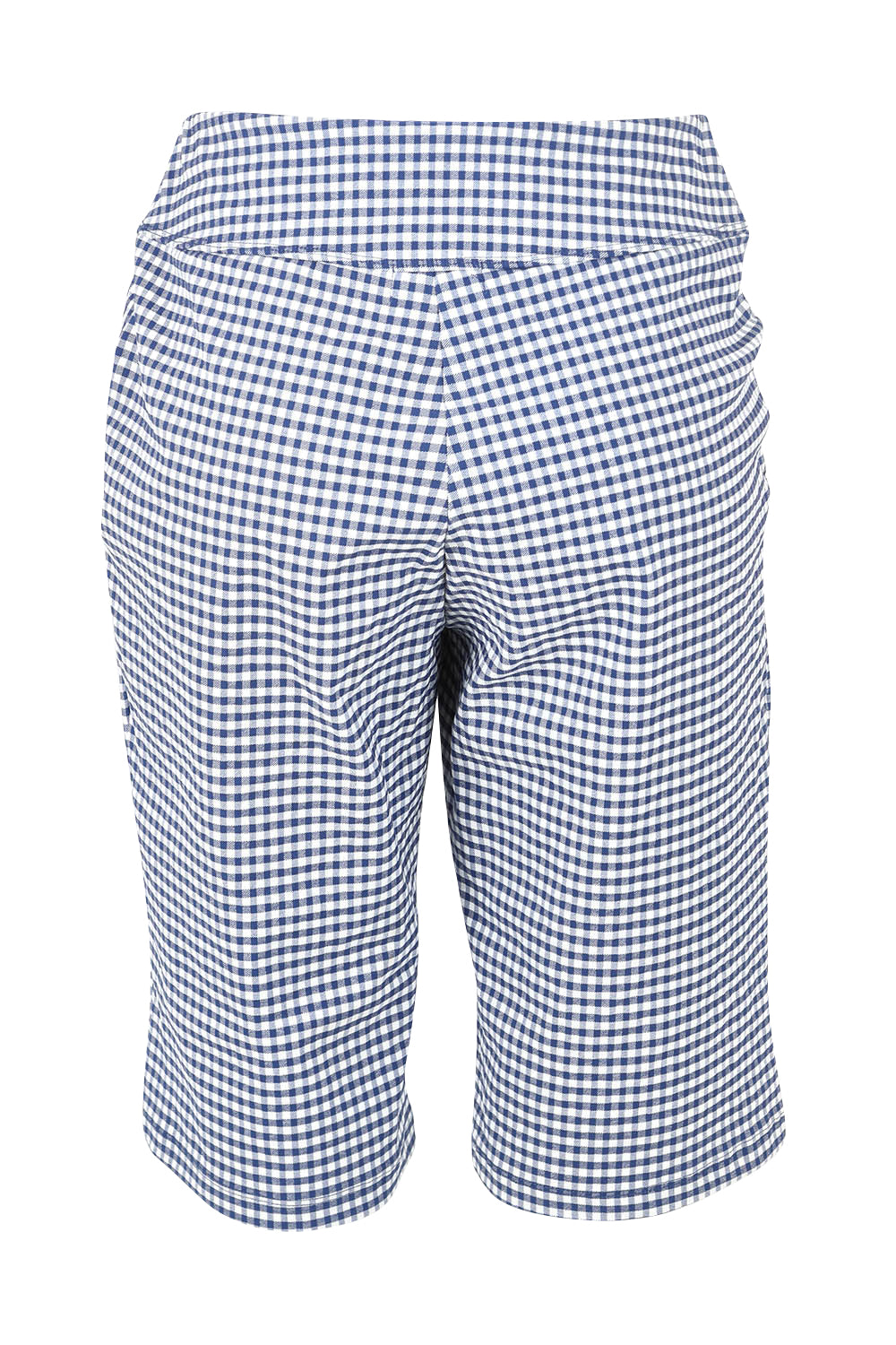 Product shot of The Keepers Check Cotton Short in colour Navywhite (Blue), from the back