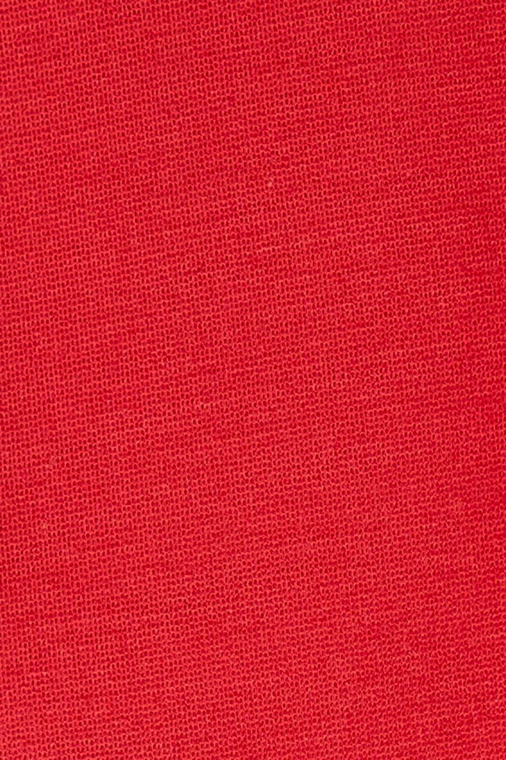 Product shot of The Ponte Blazer in colour Red (Red), detail