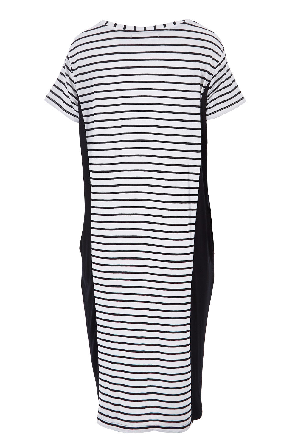 Product shot of The Contrast Panel Dress in colour Blkstripe (Black), from the back