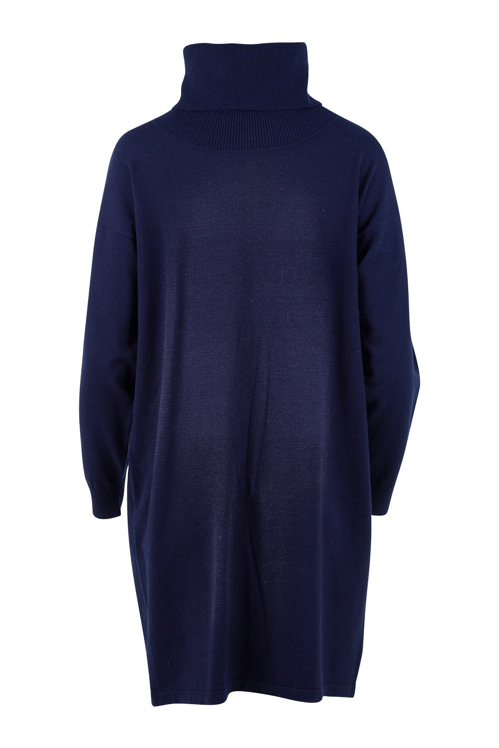 Product shot of The Roll Neck Tunic Dress in colour Navy (Blue), from the back