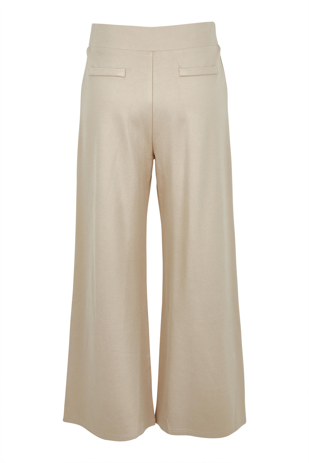 Product shot of The Wide Leg Ponte Pant in colour Sand, from the back