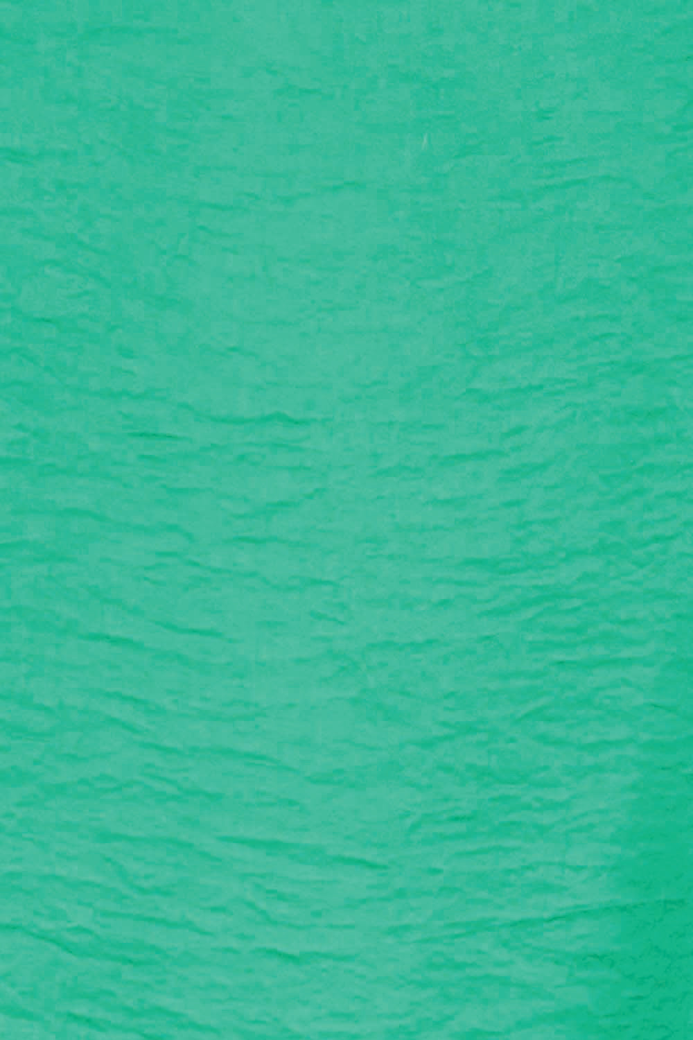 Product shot of the The Shirred Detail Top - Green in colour Green, showing detail