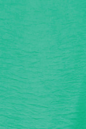 Product shot of the The Shirred Detail Top - Green in colour Green, showing detail