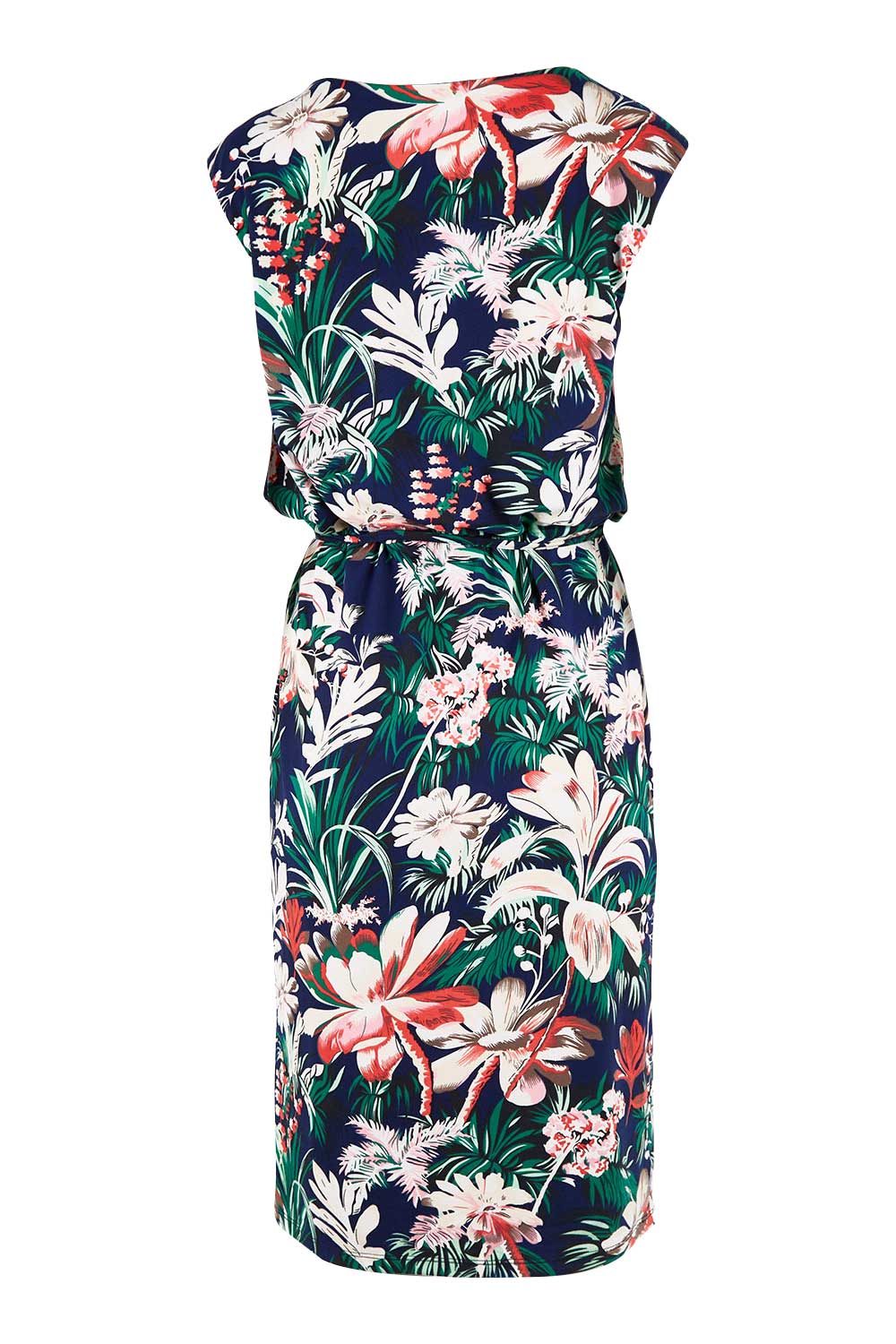 Product shot of The Lined Jersey Cap Sleeve Dress in colour Botanical (Blue), from the back
