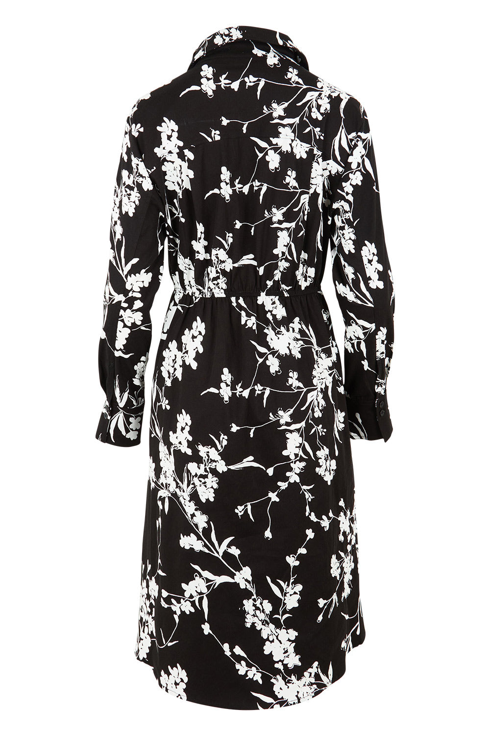 Product shot of The Printed Cotton Stretch Shirt Dress in colour Blackfleur (Black), from the back