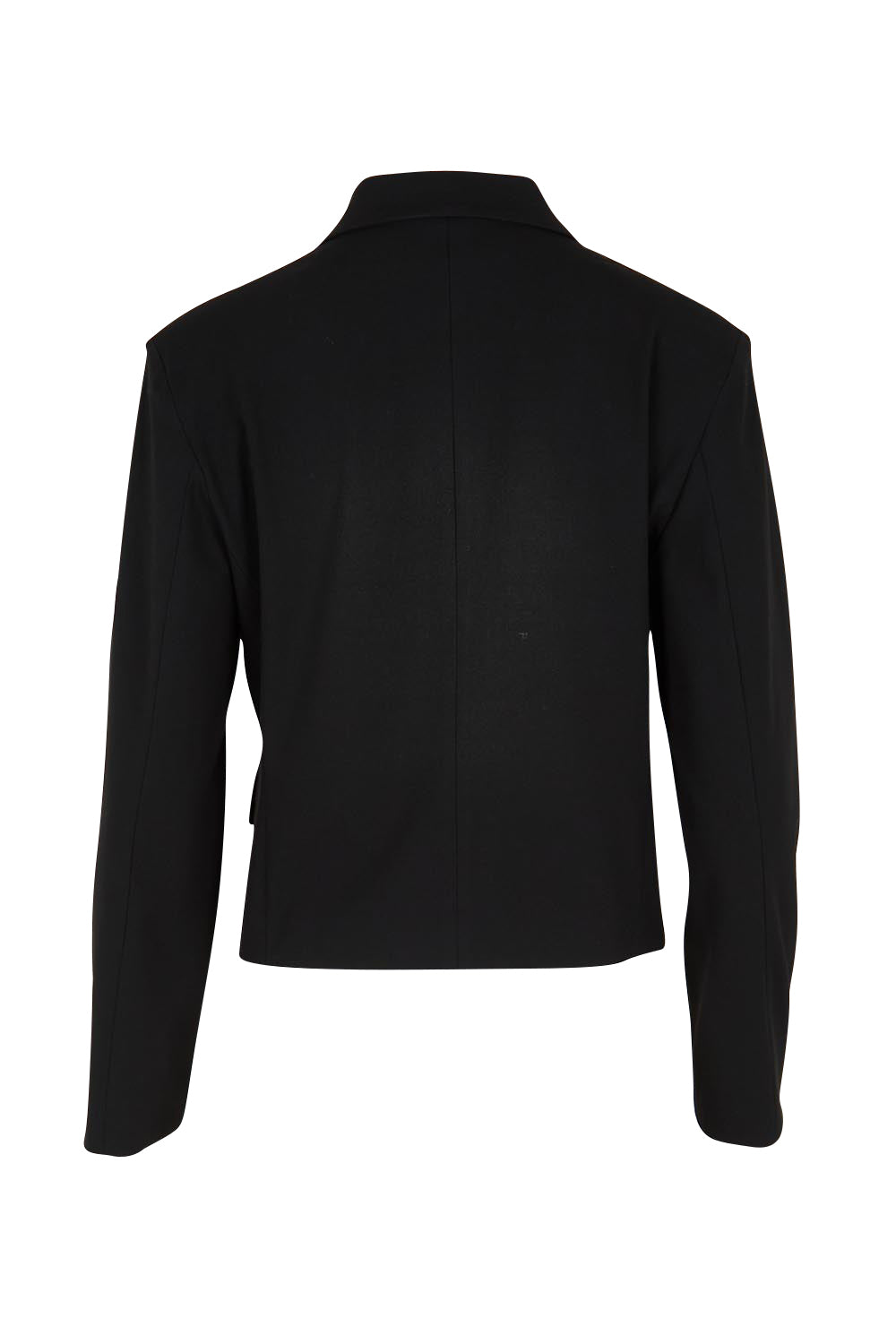 Product shot of the The Buttoned Blazer With Pocket Details – Black in colour Black, from the back