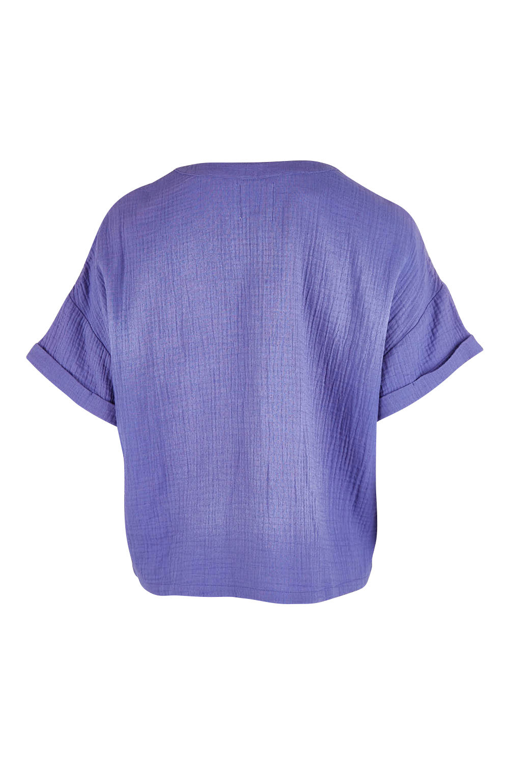 Product shot of the Every Other Day Cotton Blouse in colour Blue (Blue), from the back