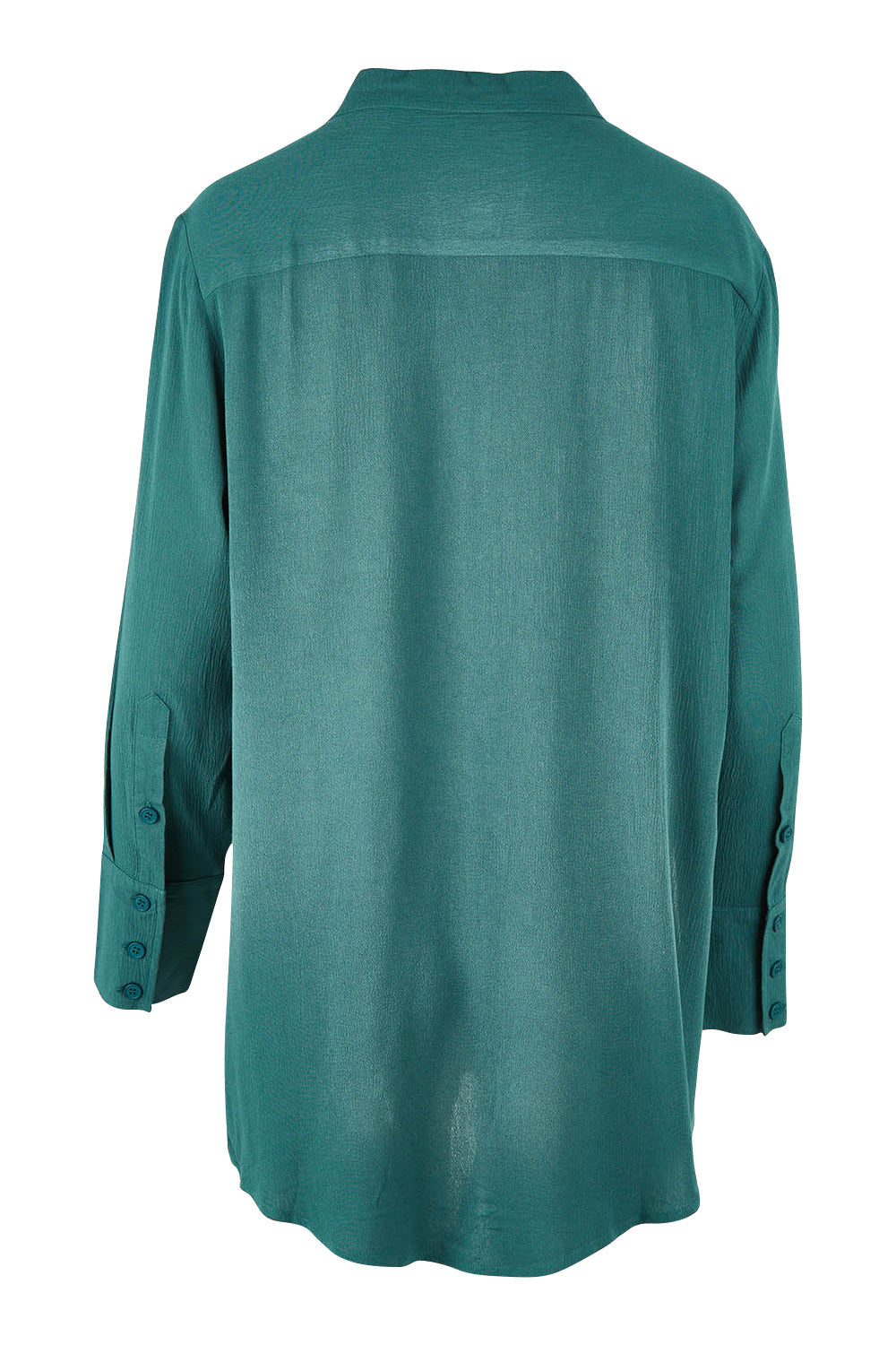 Product shot of the Brunch Lunch And Dinner Shirt in colour Sage (Green), from the back