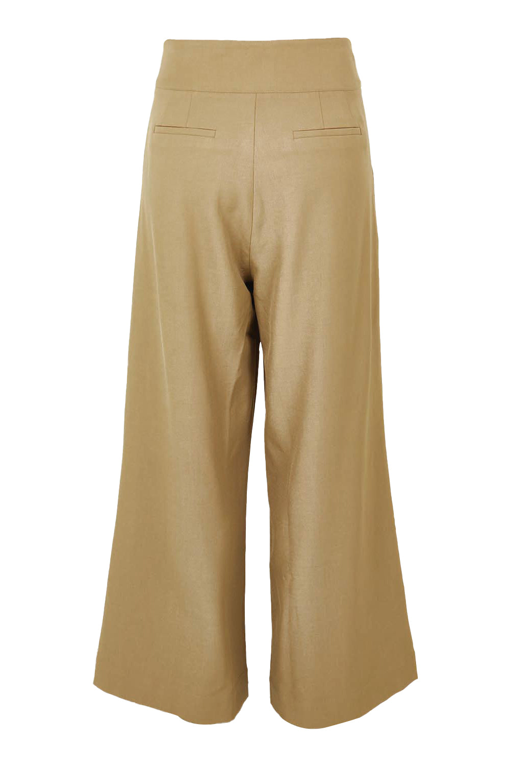 Product shot of the High Flying Wide Leg Pants in colour Pumice, from the back