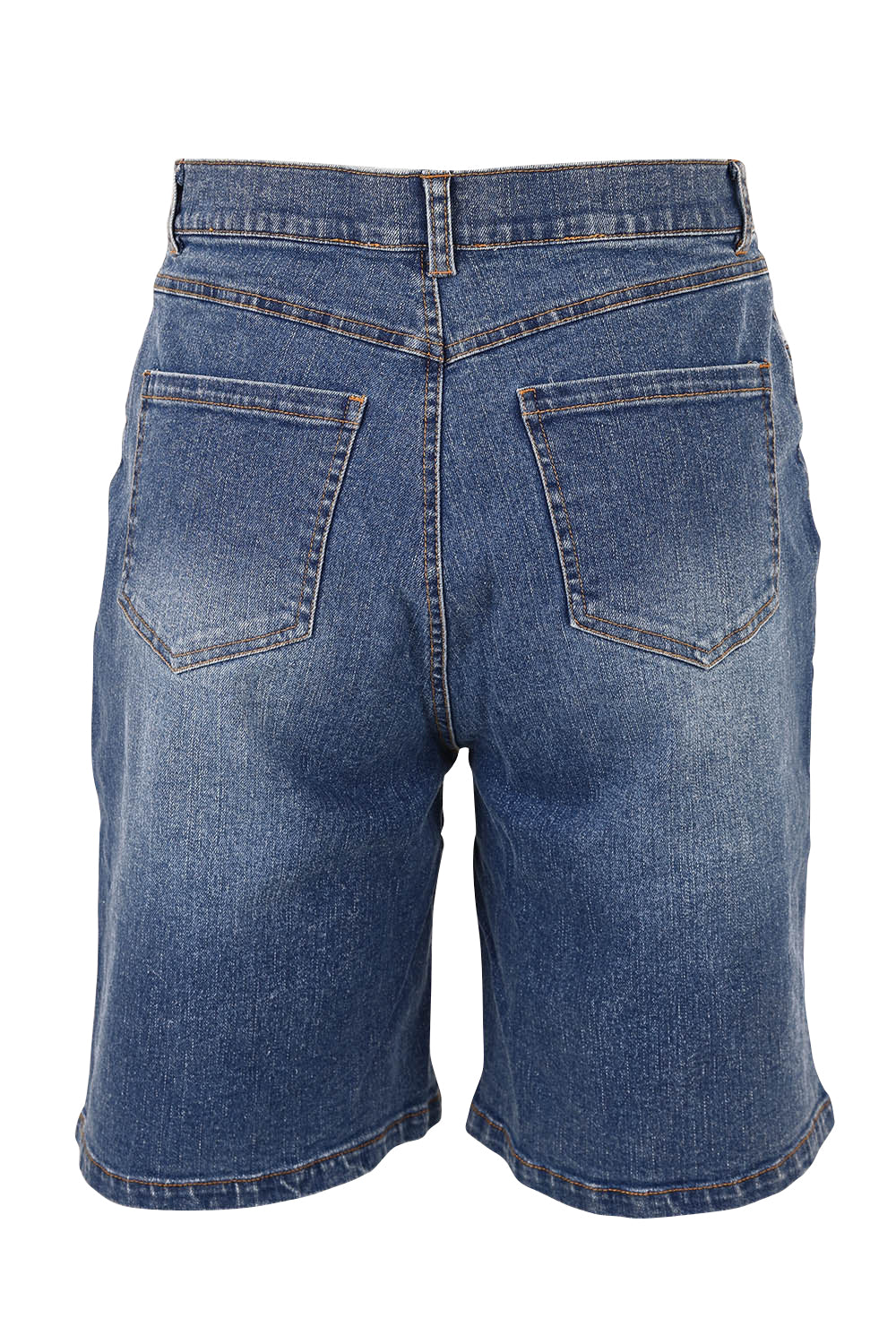 Product shot of the Daily Dose Longline Denim Shorts in colour Denim (Blue), from the back