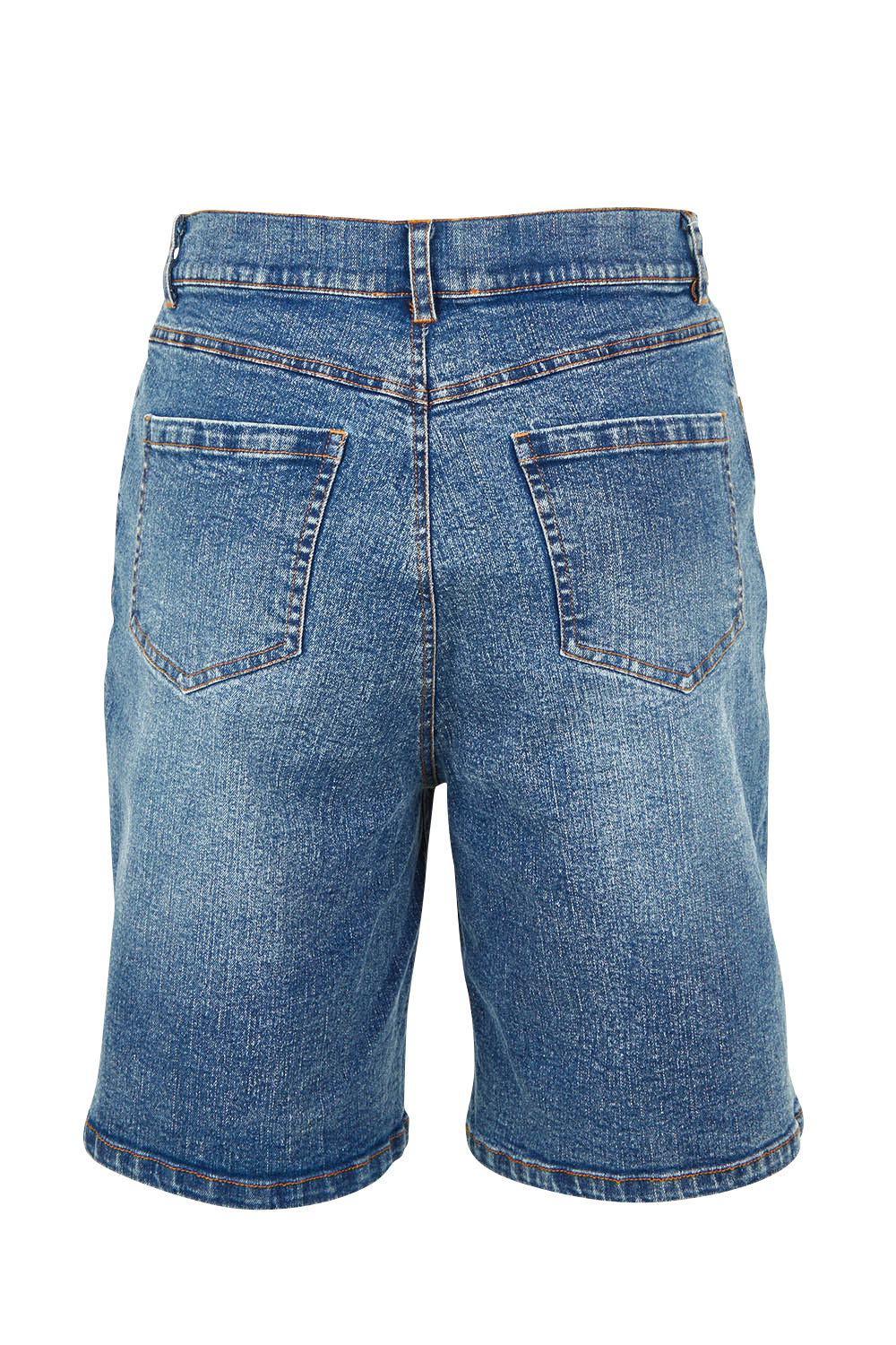 Product shot of the Daily Dose Longline Denim Shorts in colour Denim (Blue), from the back