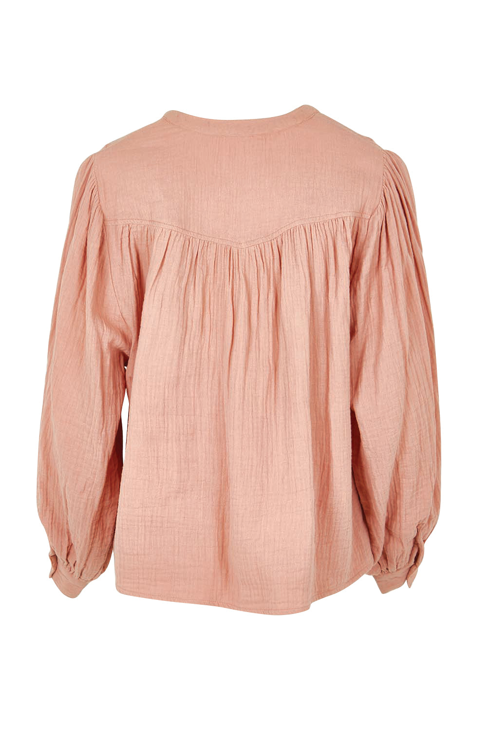 Product shot of the Afternoon Delight Cotton Blouse in colour Dust (Pink), from the back