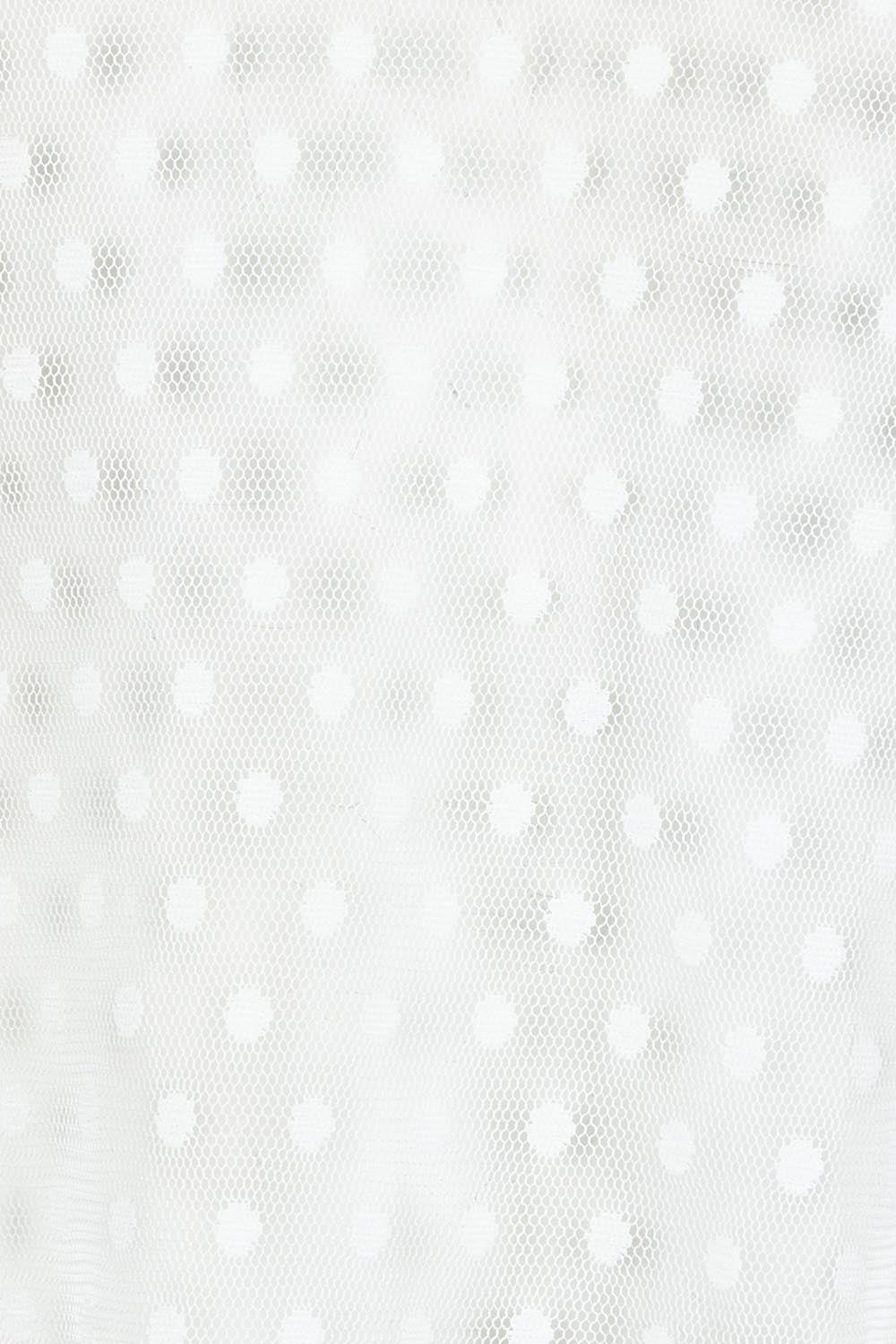 Product shot of the Layer Me Up Lace Mesh Long Sleeve Top in colour White (White), detail