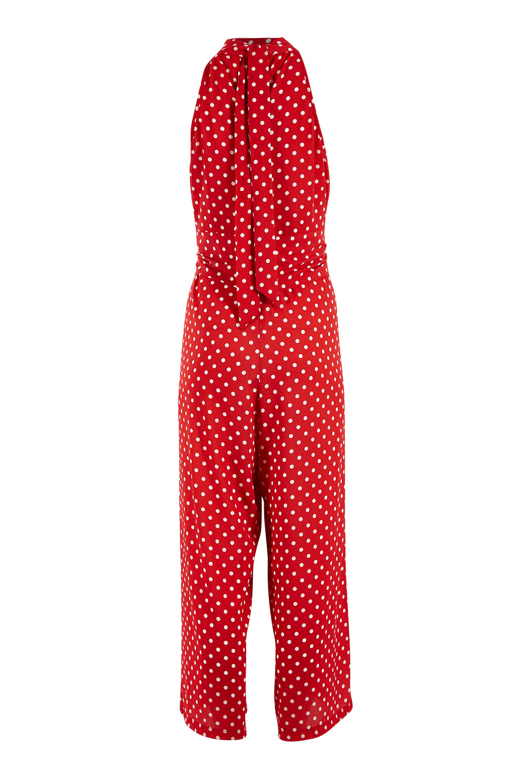 Product shot of the Lets Get Festive Jumpsuit in colour Redspot (Red), from the back