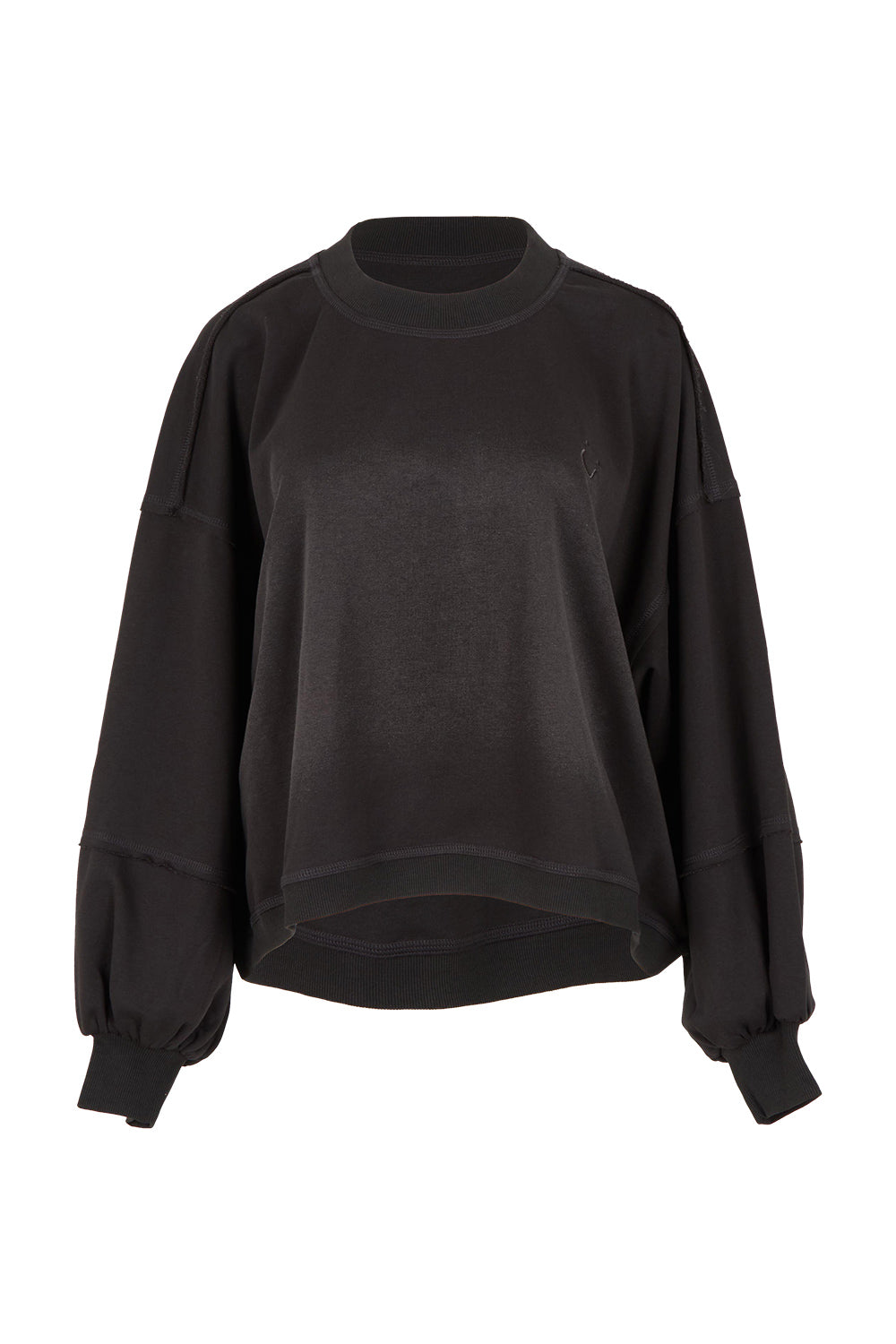 Product shot of the Guru Cotton Blend Sweater in colour Black (Black), from the front