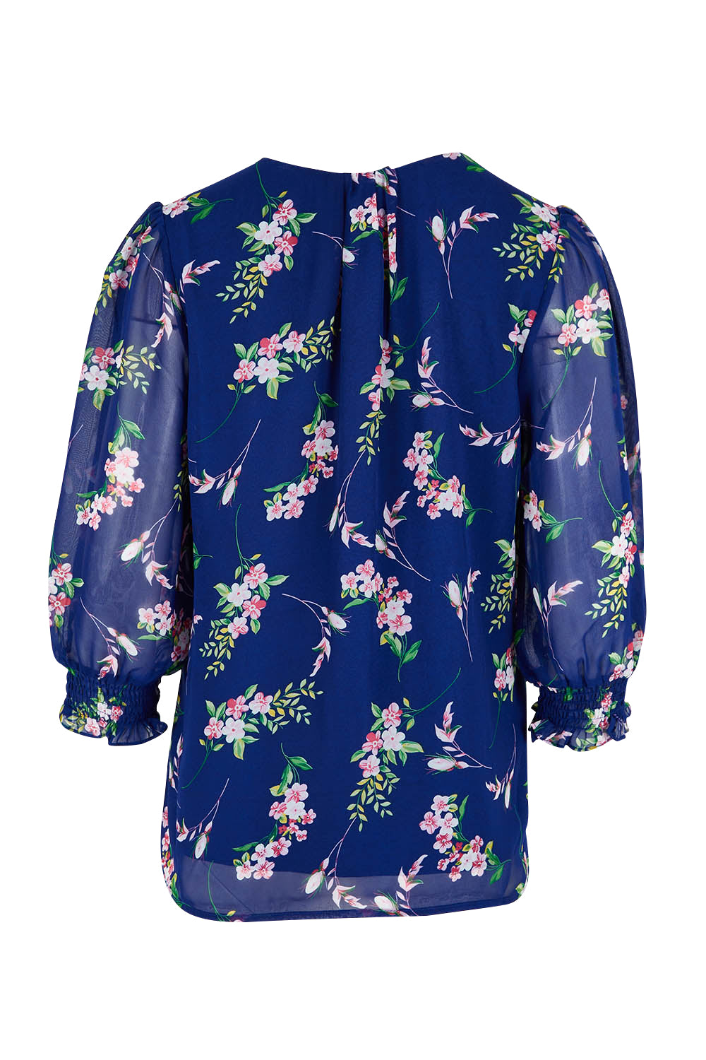 Product shot of the Felicity Chiffon Top in colour Blue (Blue), from the back