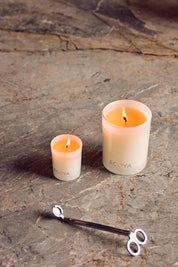 Product shot of the Mini Madison Candle - Sweetpea in colour Sweetpea, from the back