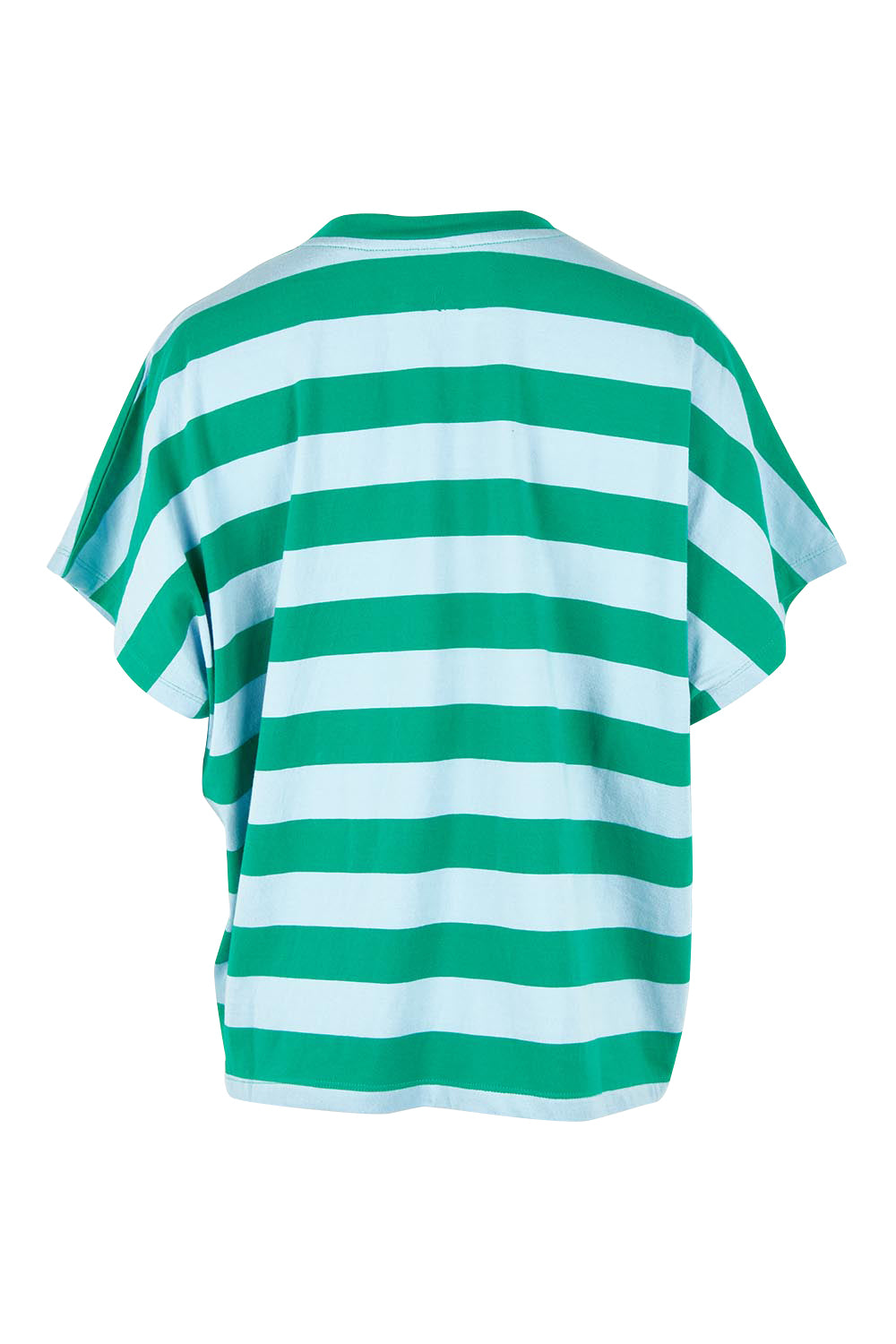 Product shot of the Poet Cotton Tee in colour Greenblue, from the back