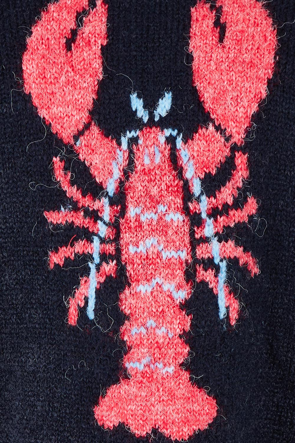 Product shot of the Lobster Intersaid Knit in colour Navy (Blue), detail