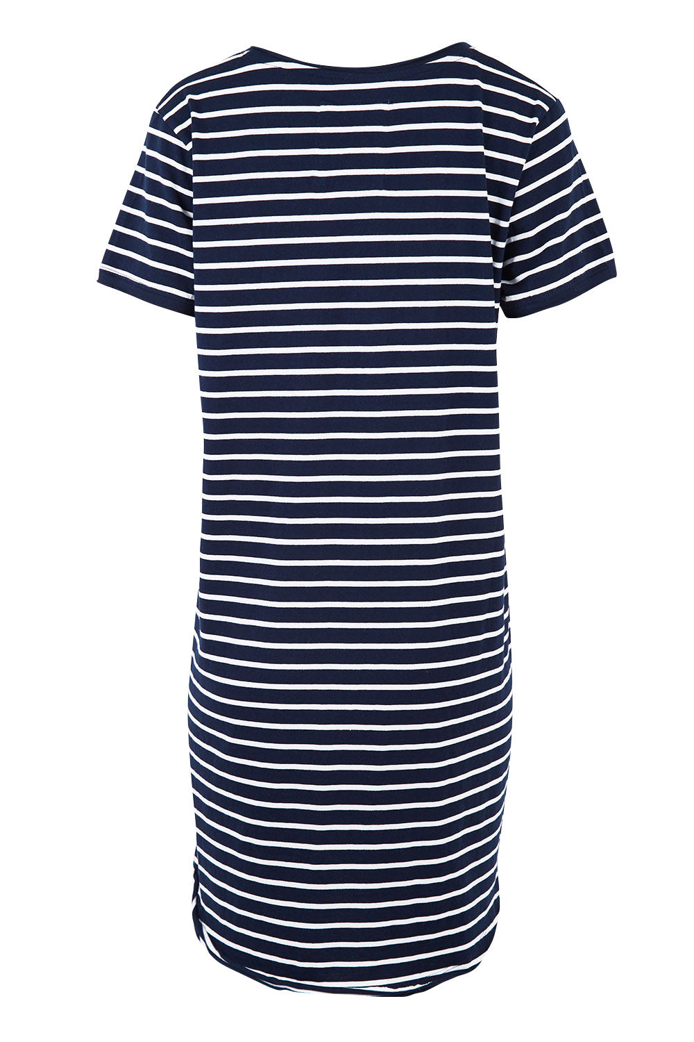 Product shot of the Fundamental Mary Stripe Dress in colour Navy (Blue), from the back