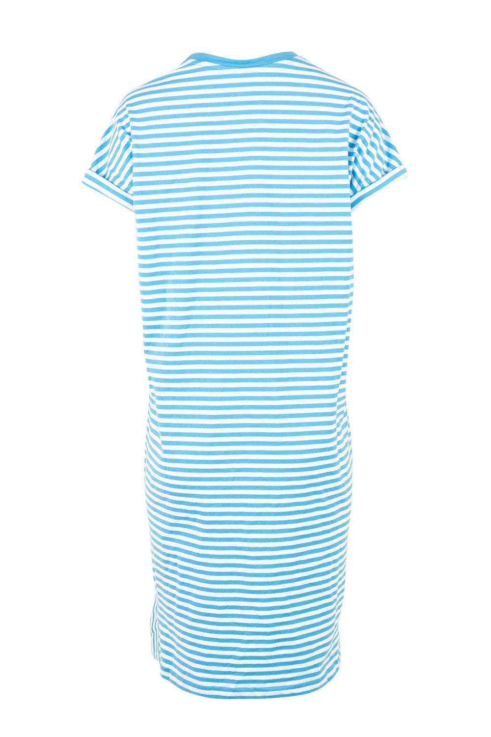 Product shot of the Fundamental Yarra Stripe Cotton Dress – Azureblue in colour Azureblue, from the back