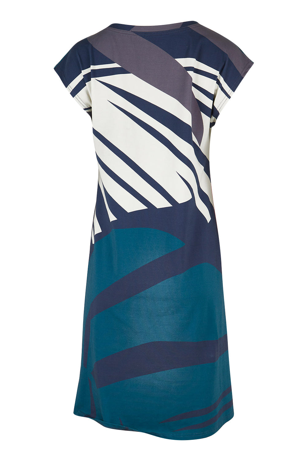 Product shot of the Bobby Dress in colour Pink (Blue), from the back