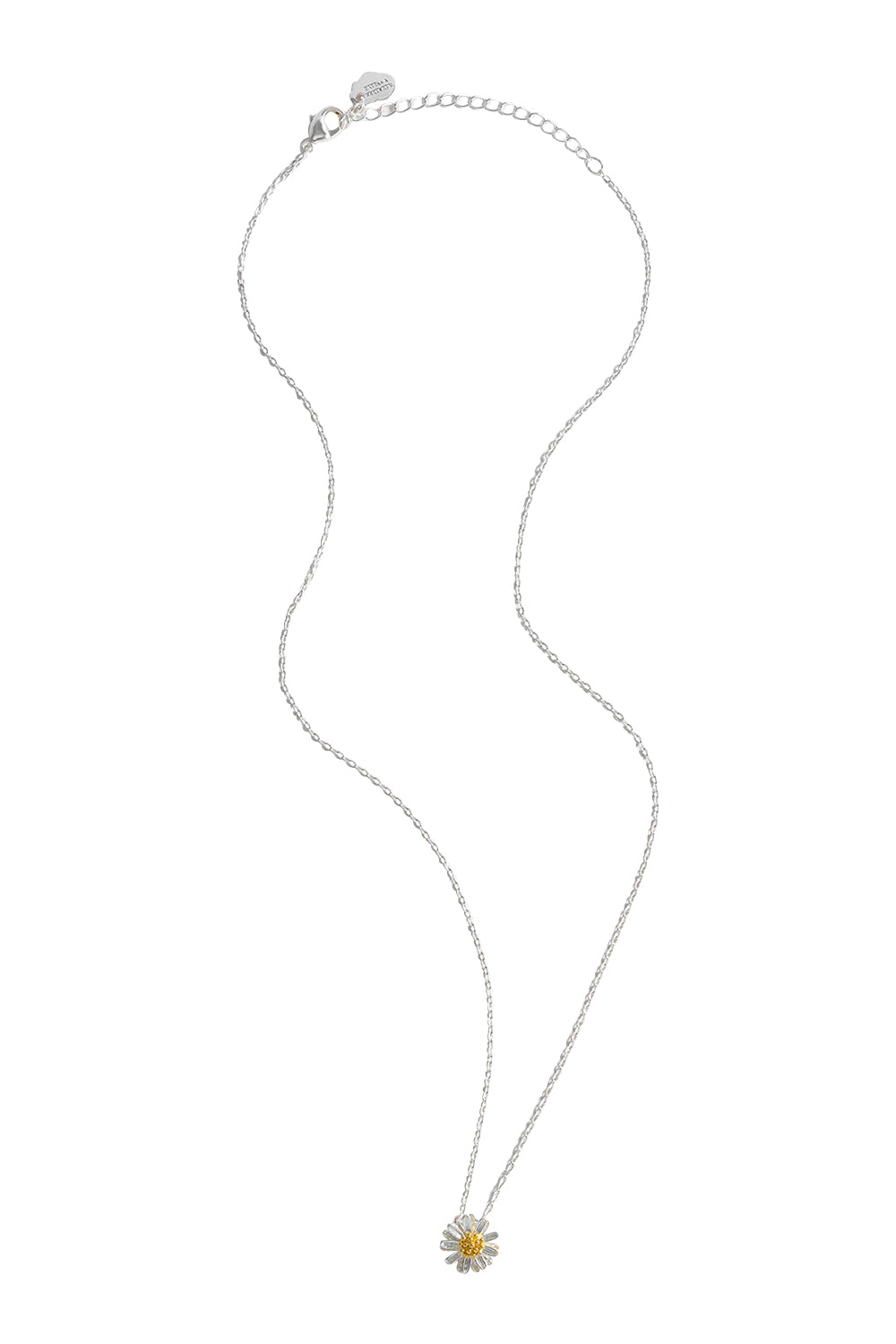 Product shot of the Wildflower Necklace in colour Silver (Metallics), from the front