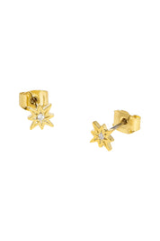 Product shot of the North Star Stud Earrings in colour Gold (Metallics), from the front