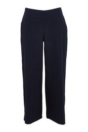 Product shot of the Broad Horizons Cotton Blend Pant in colour Truenavy (Blue), from the front