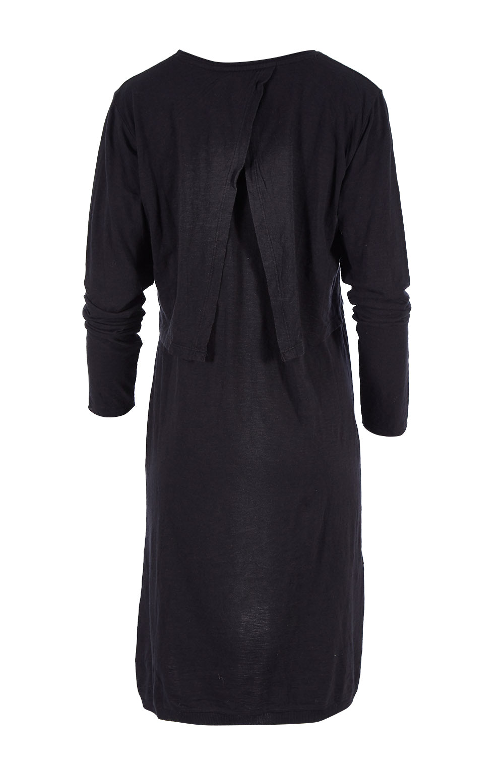 Product shot of the Elements Highline Long Sleeve Dress in colour Black (Black), from the back