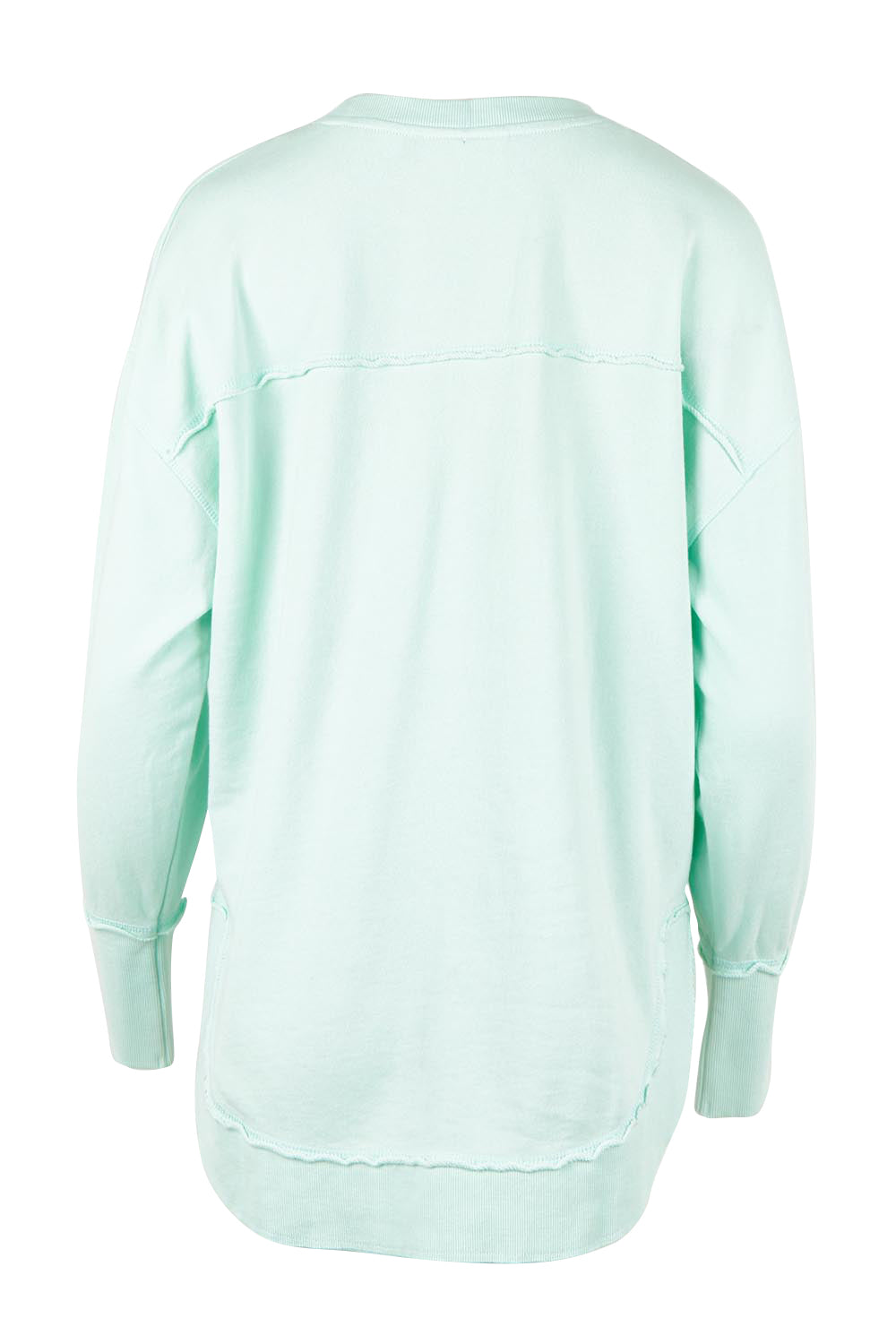 Product shot of the Elements Simplified Cotton Crew – Palemint in colour Palemint, from the back