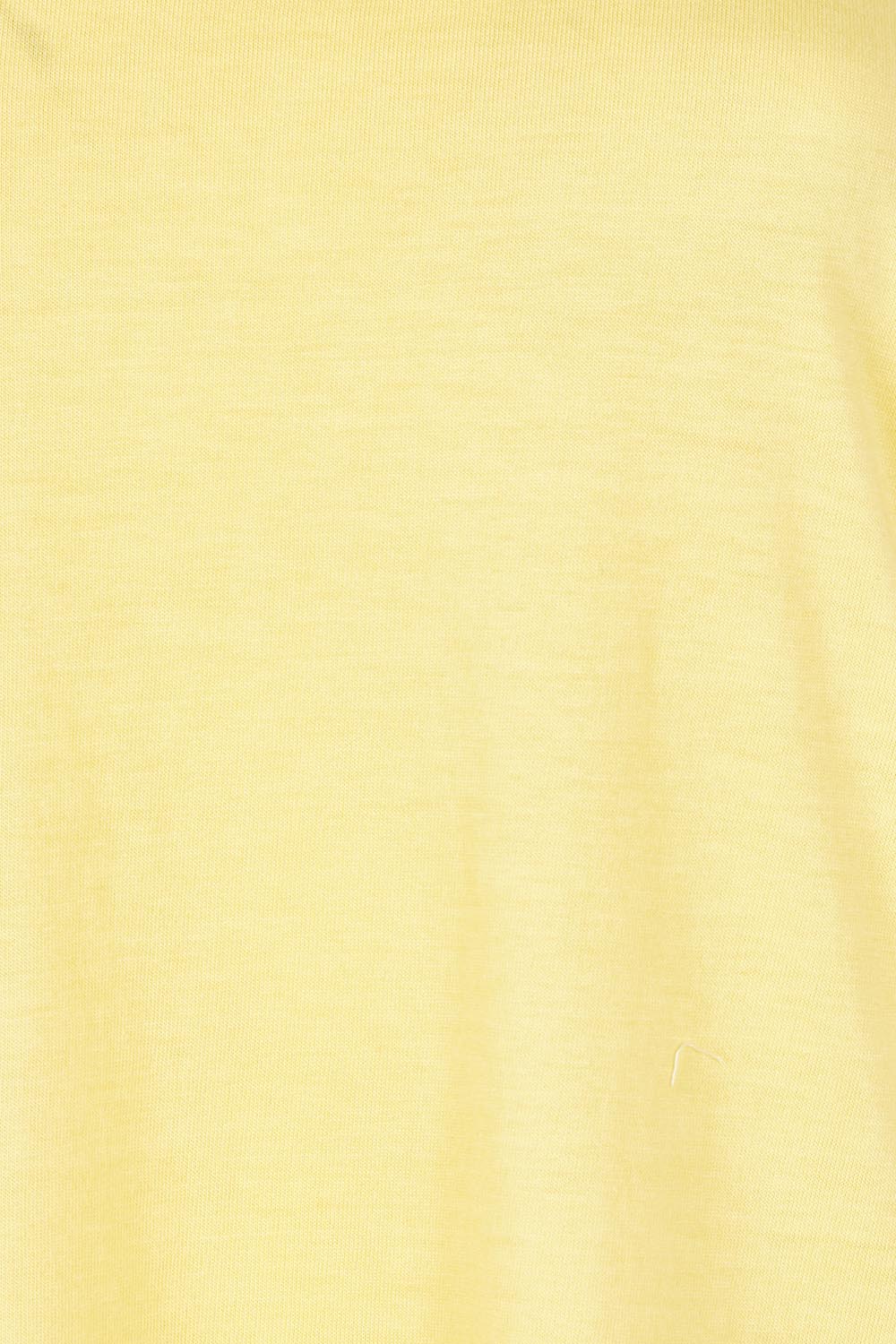 Product shot of the Elements Manly Cotton Tee in colour Sunshine, detail
