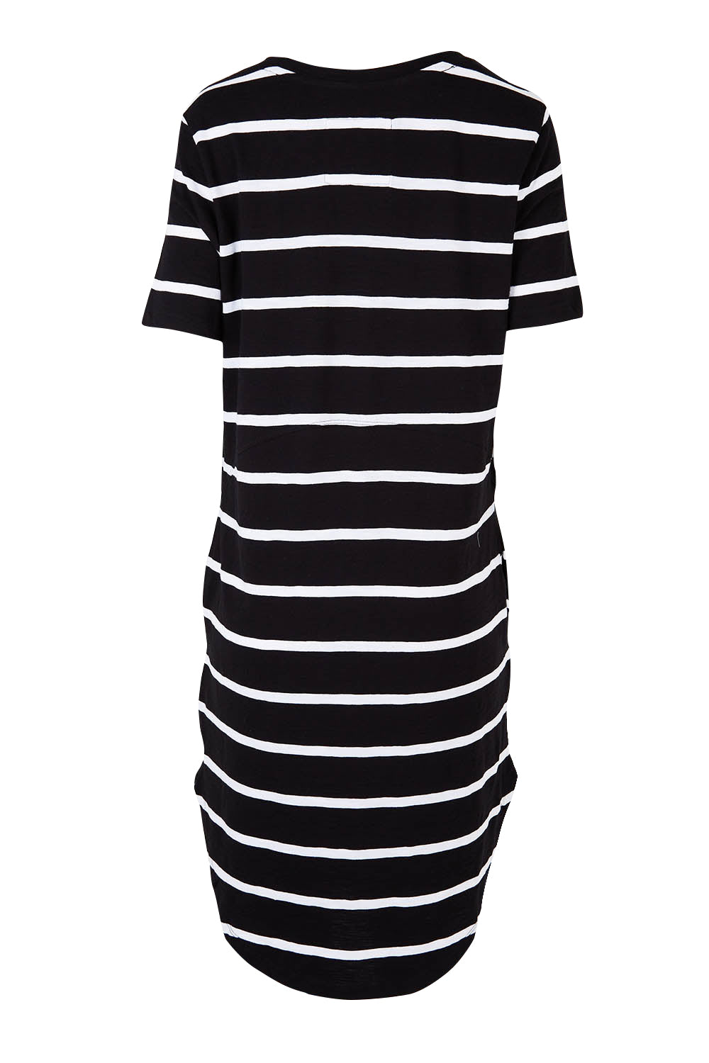 Product shot of the Elements Bay Stripe Dress in colour Blackwhite (Black), from the back