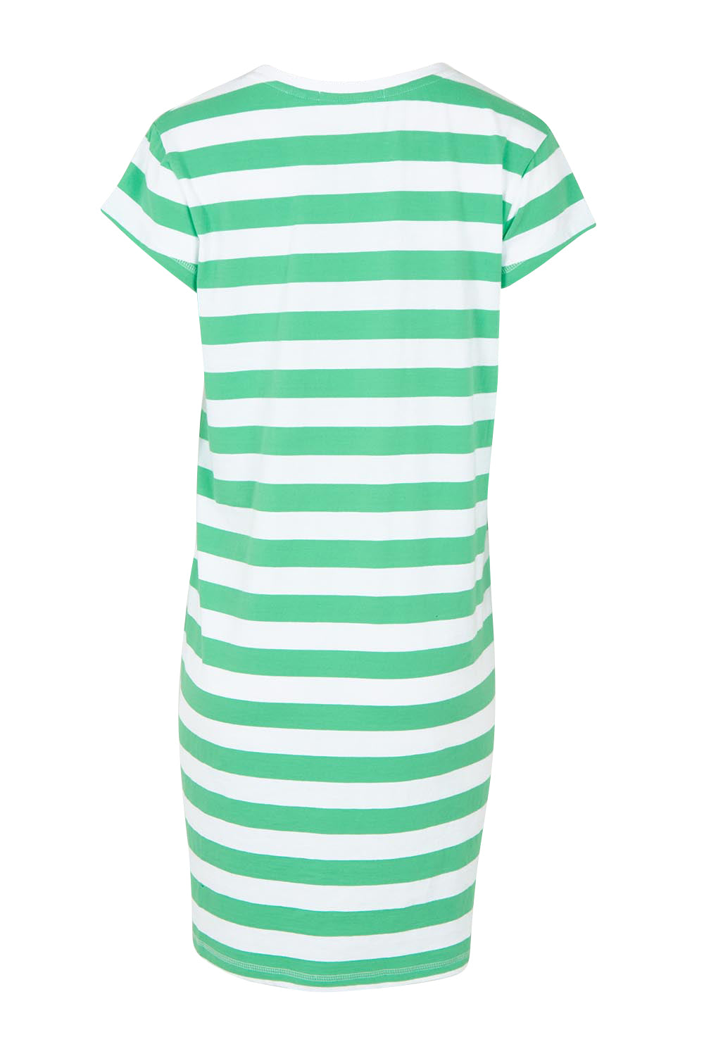 Product shot of the Elements Signature Tee Dress in colour Irishwhite (Green), from the back