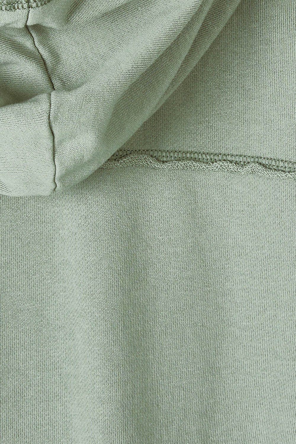 Product shot of the Elements Sigrid Hoody in colour Sagegreen (Green), from the front