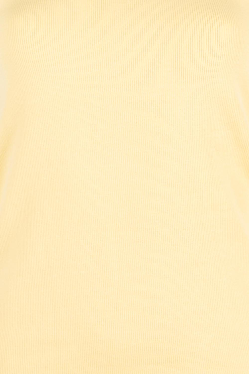 Product shot of the Elements Iris Rib Cotton Tank – Sunlightye in colour Sunlightye, from the back