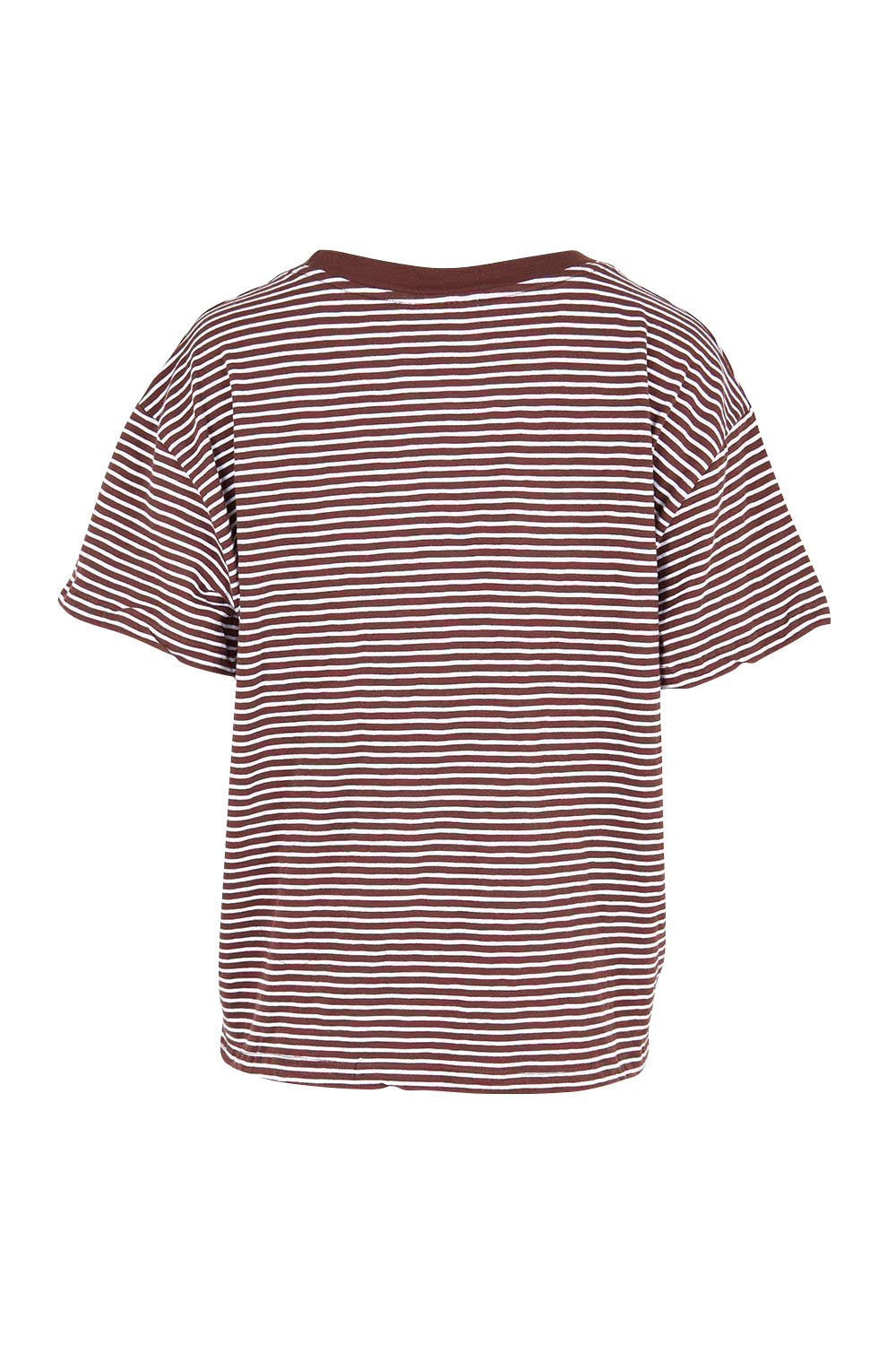 Product shot of the Elements Hutch Stripe Cotton Tee – Chocwhite in colour Chocwhite, from the back