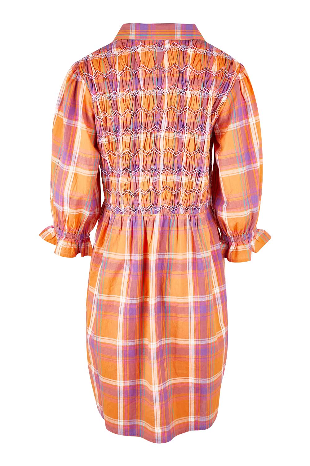 Product shot of the Shirred Bodice Detail Dress in colour Checked, from the back
