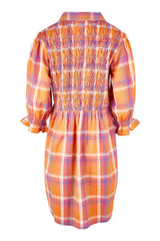 Product shot of the Shirred Bodice Detail Dress in colour Checked, from the back